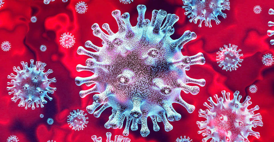 Coronavirus Cell